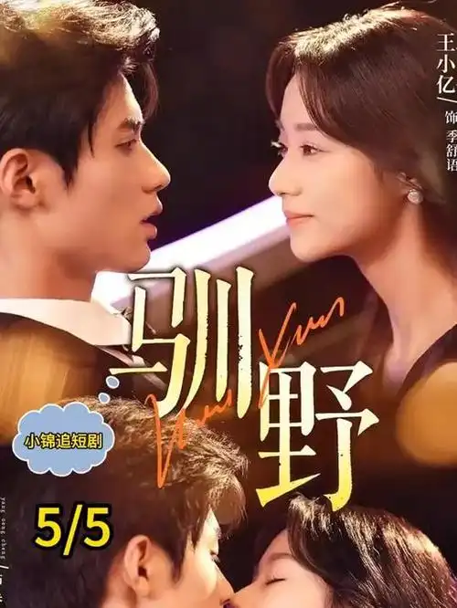 第七个证人 悬疑电视剧全集在线观看